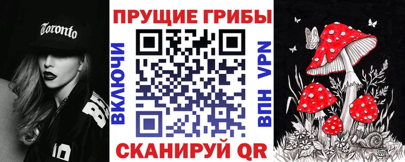 Галлюциногенные грибы MAGIC MUSHROOMS  Сосновый Бор 
